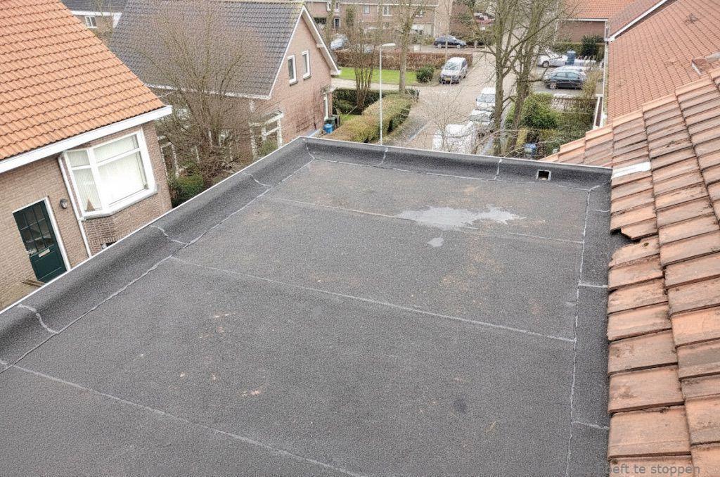 Dakdekker In Najaar Nuenen