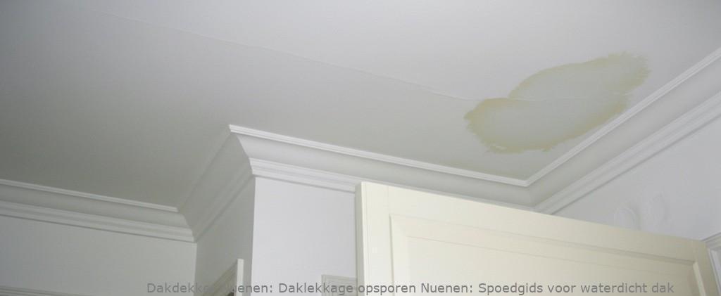 Daklekkage Opsporen Nuenen 1