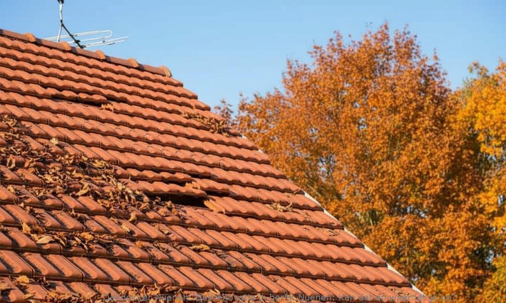 Dakrenovatie In Herfst Nuenen