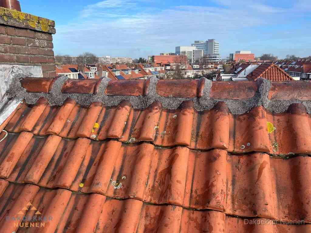 Nuenen Daken Renoveren