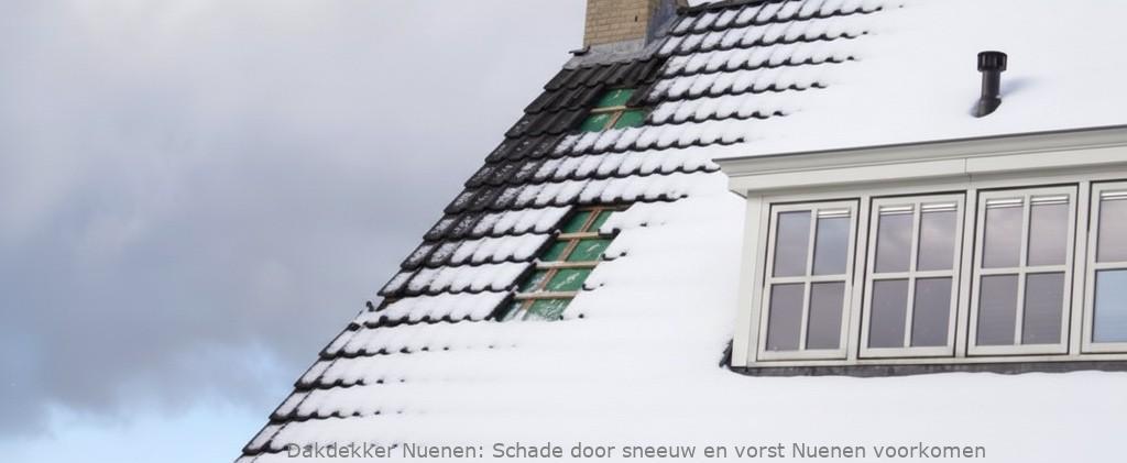 Schade Door Sneeuw En Vorst Nuenen
