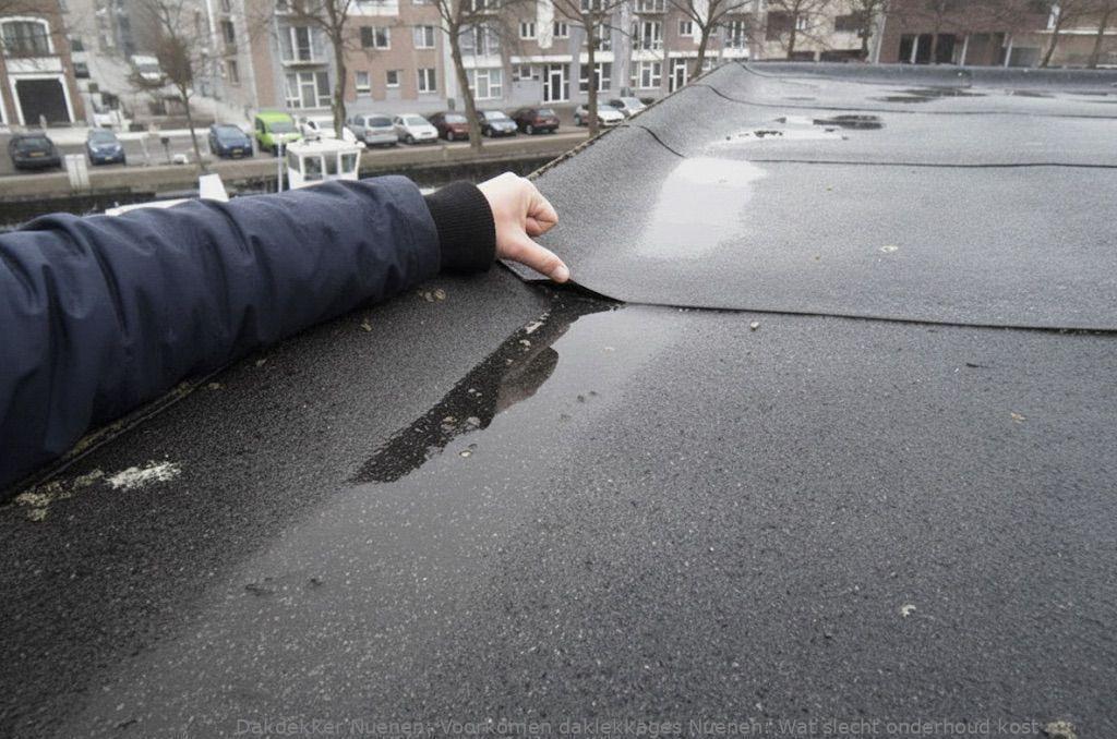 Voorkomen Daklekkages Nuenen